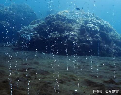 海洋深处全集在线观看,探寻深海奥秘的惊险之旅  第2张