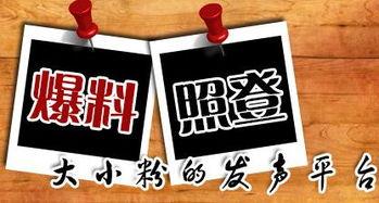 免费新闻爆料,揭开社会热点背后的真相 第1张 免费新闻爆料,揭开社会热点背后的真相 第1张