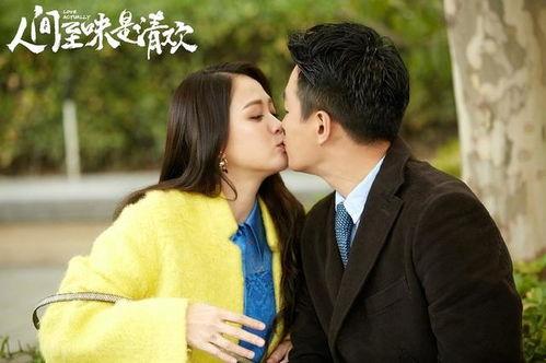 人间至味是清欢电视剧在线观看,探寻清欢人生，品味至味情感  第3张